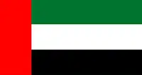 UAE Flag